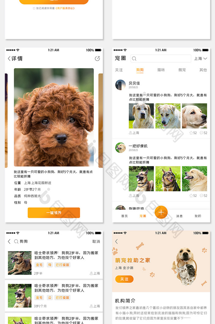 领养宠物全套app设计UI界面