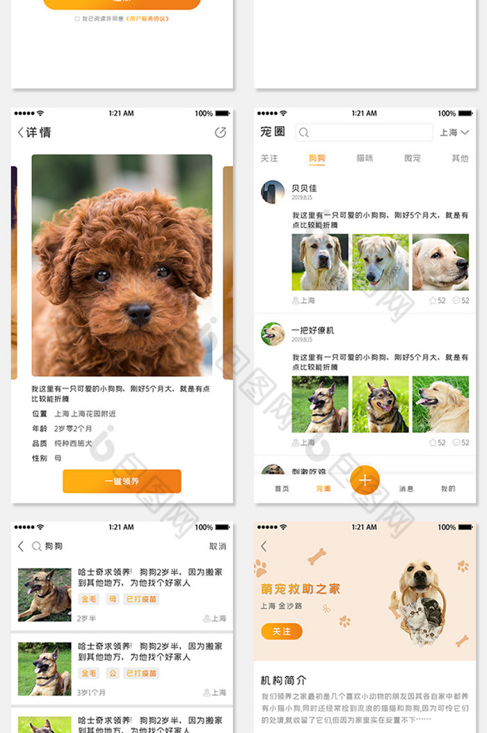 領養寵物全套app設計ui界面