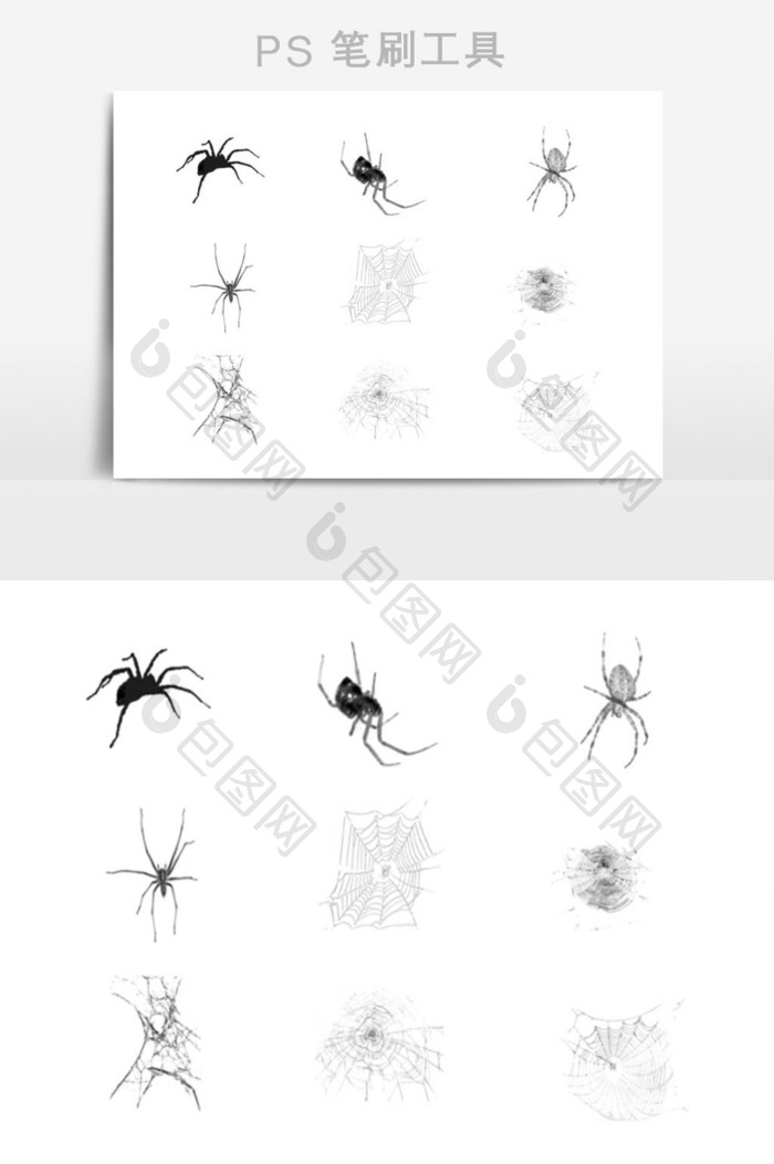 蜘蛛和蜘蛛网效果笔刷