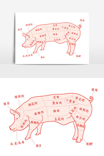 猪食用部位图猪肉结构图矢量ai图片下载