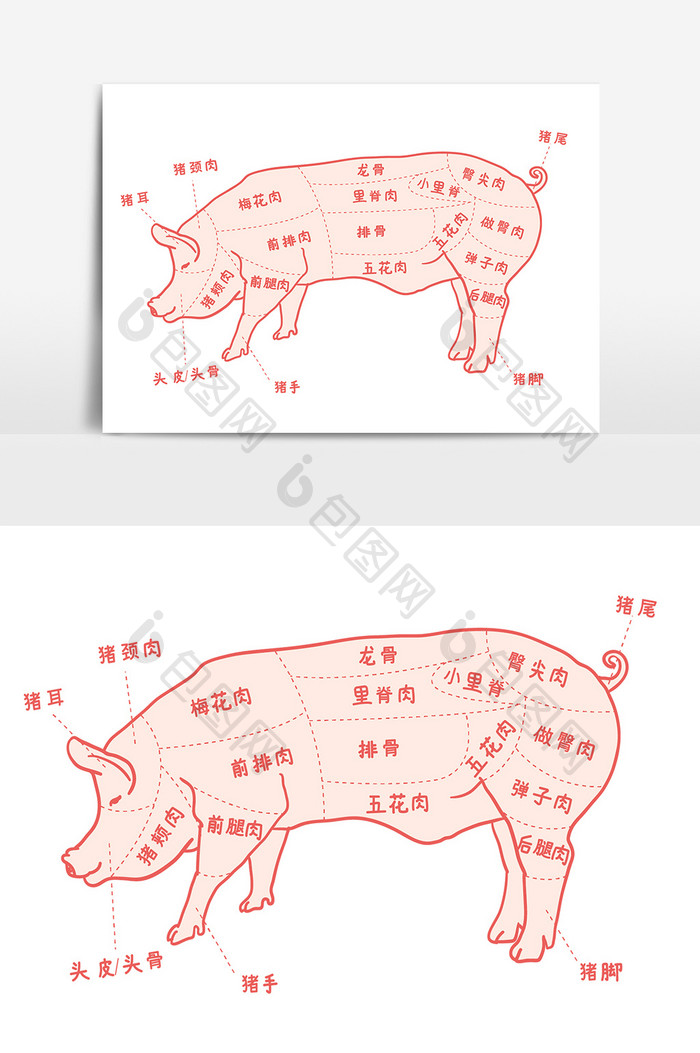 猪食用部位图猪肉结构图矢量AI