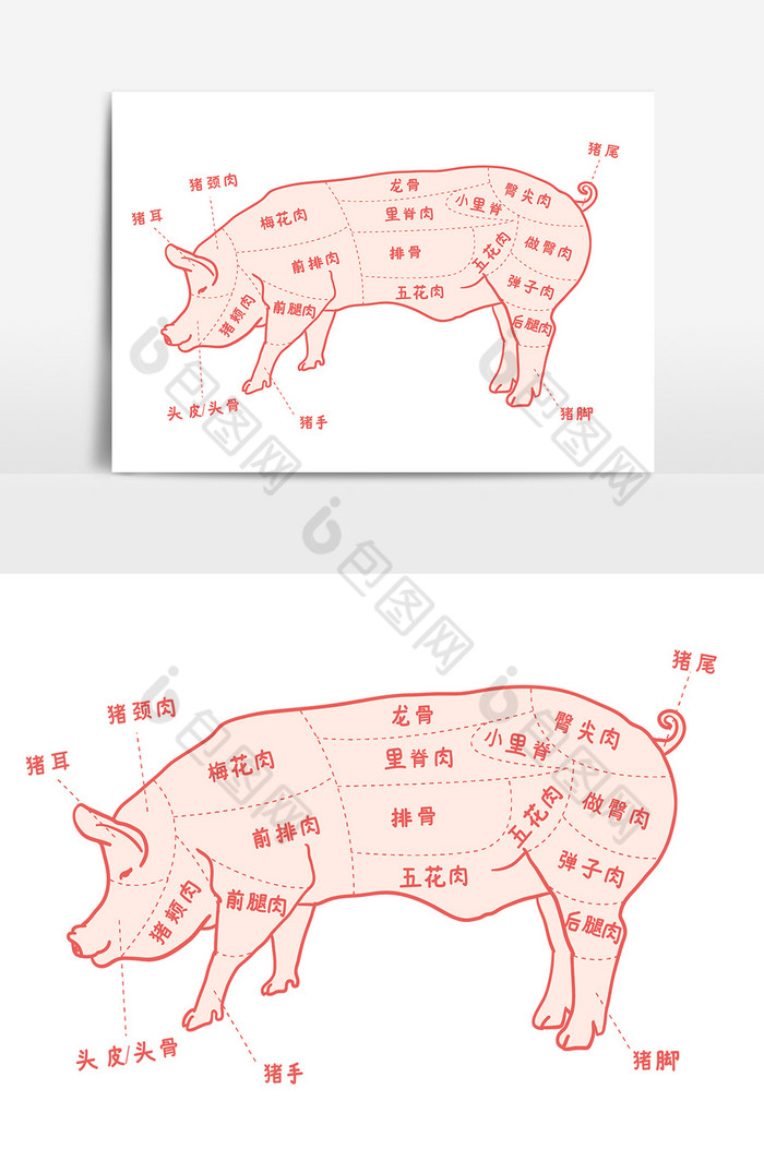 猪食用部位图猪肉结构图AI图片图片