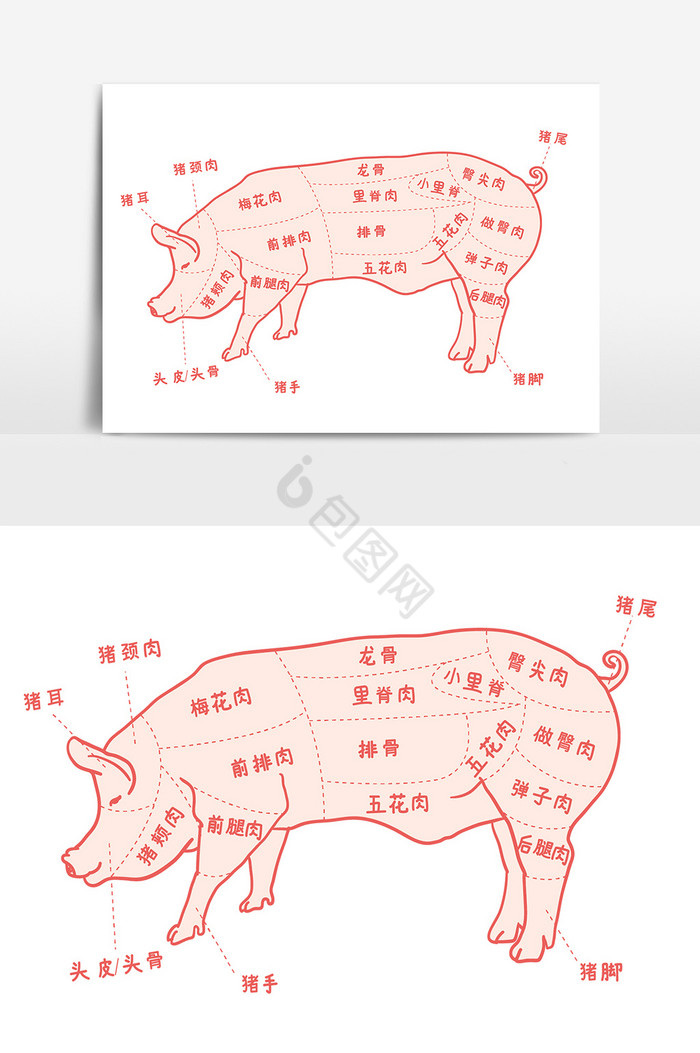 猪食用部位图猪肉结构图AI图片