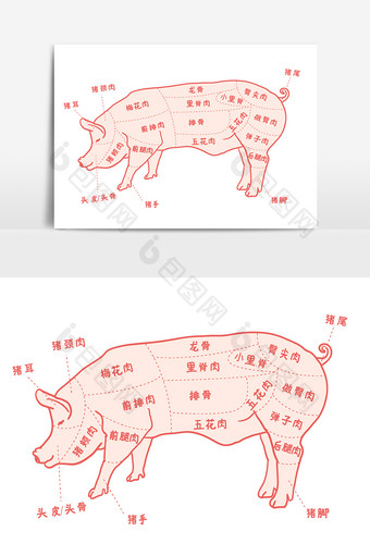 猪食用部位图猪肉结构图矢量AI图片