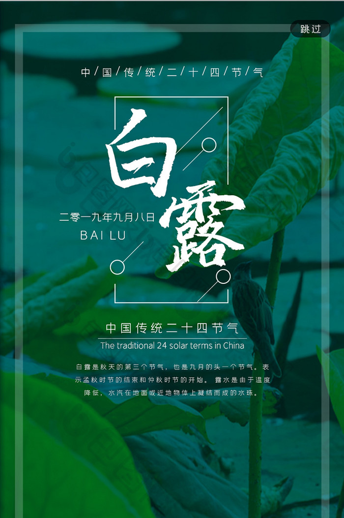 传统节气白露APP引导页启动页闪屏