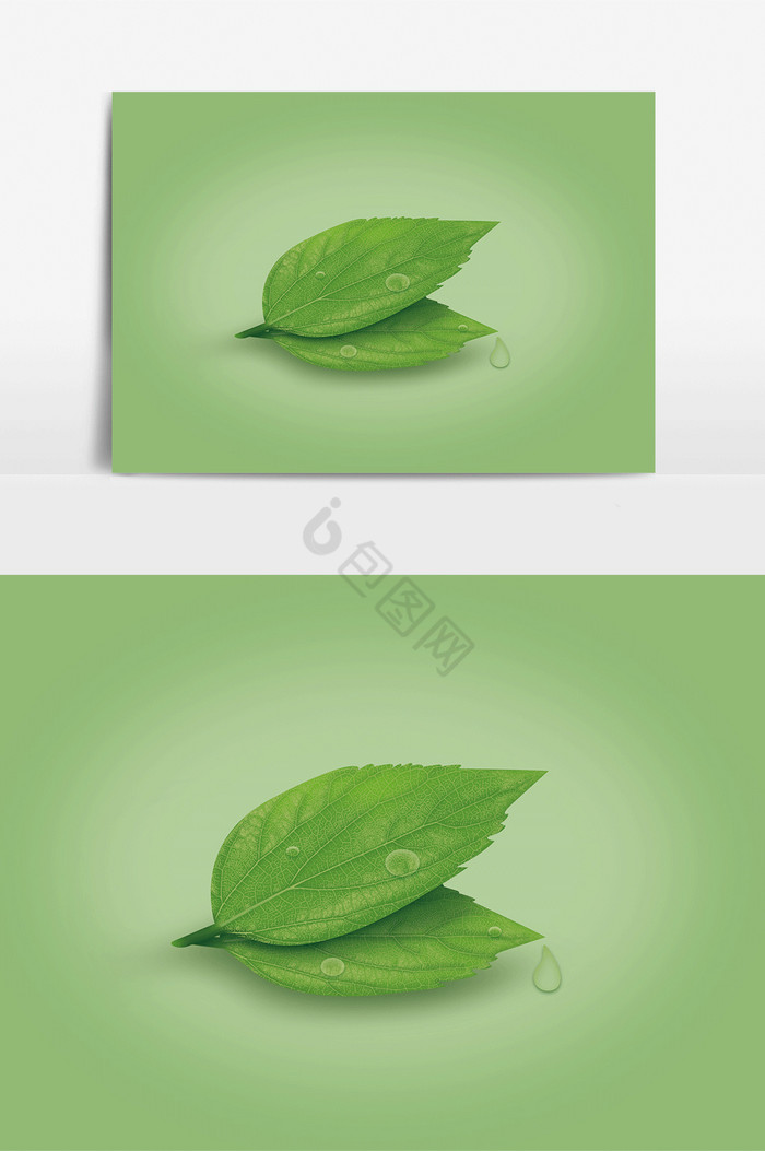 水滴绿叶装饰图片