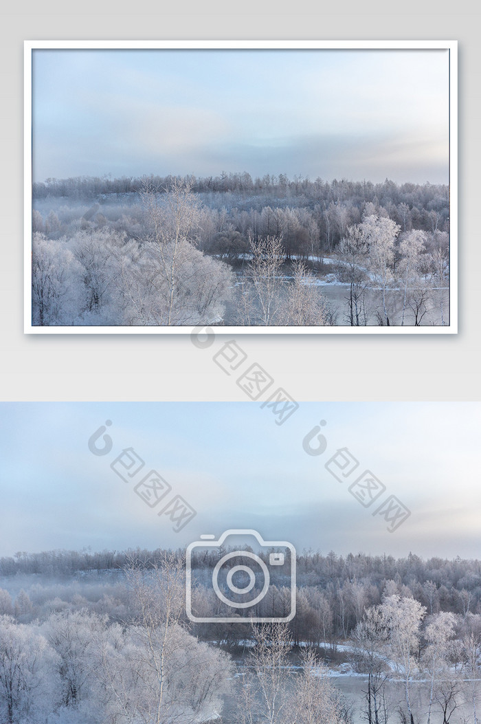 北方冬季树林雪景摄影图片
