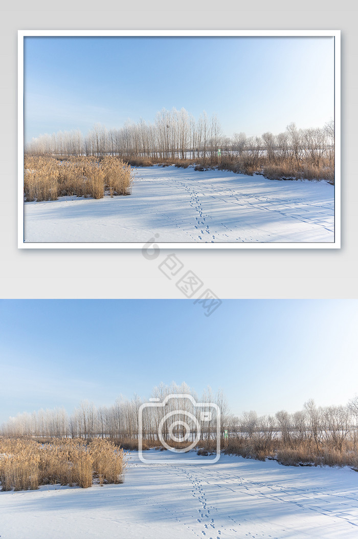 北方冬季树木河流雪天摄影图片