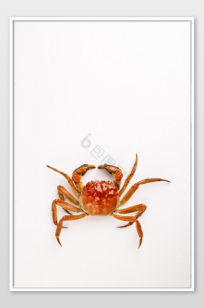 大闸蟹美食图片-大闸蟹美食素材免费下载-包图网