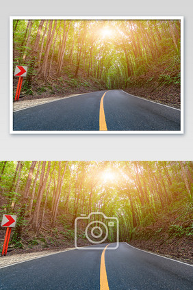 乡村的森林公路摄影图片