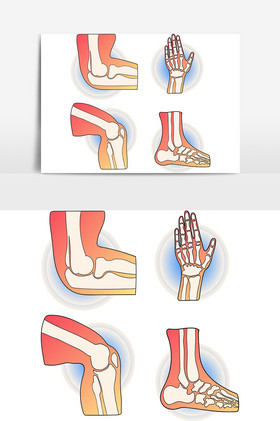 人体关节人体骨骼ai图片