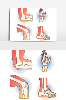 手绘人体关节人体骨骼矢量AI