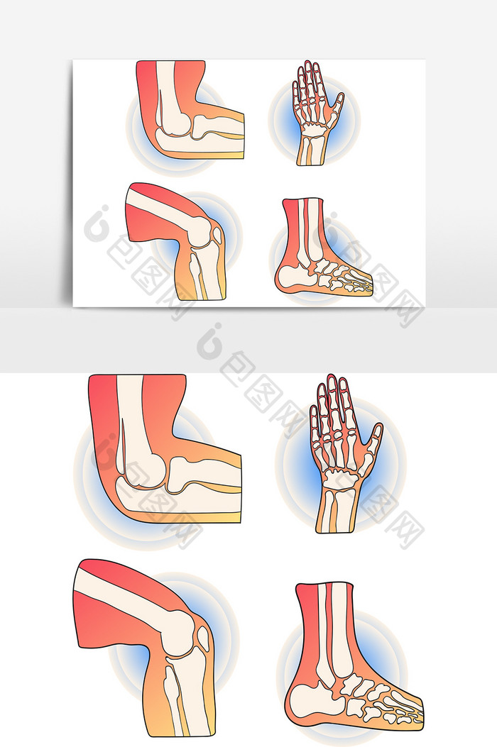 手绘人体关节人体骨骼矢量AI