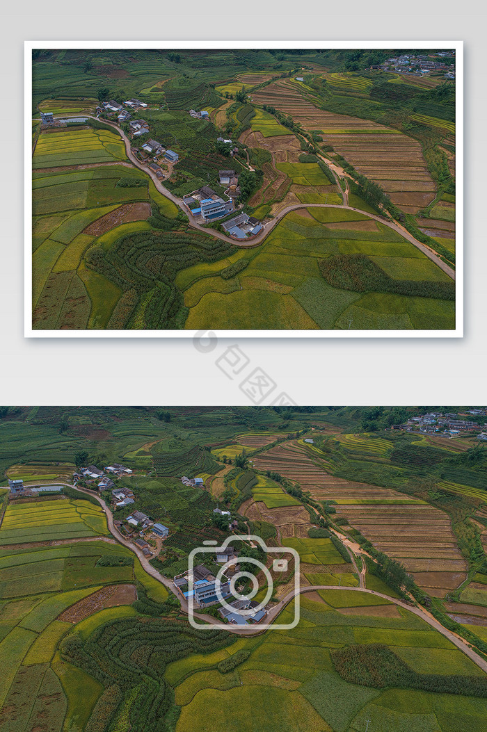 美丽的稻田村庄和田野图片图片