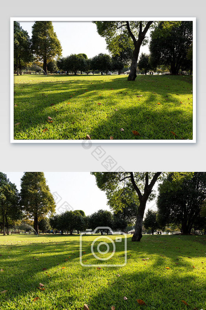 公园草地树林自然风光素材 图片下载 包图网