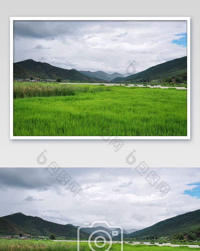 云南旅游泸沽湖草海大气摄影图片