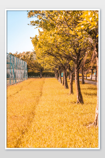 黄色稻田稻子成熟gif插画GIF动图1024*4849图片素材免费下载-编号1248066-潮点视频