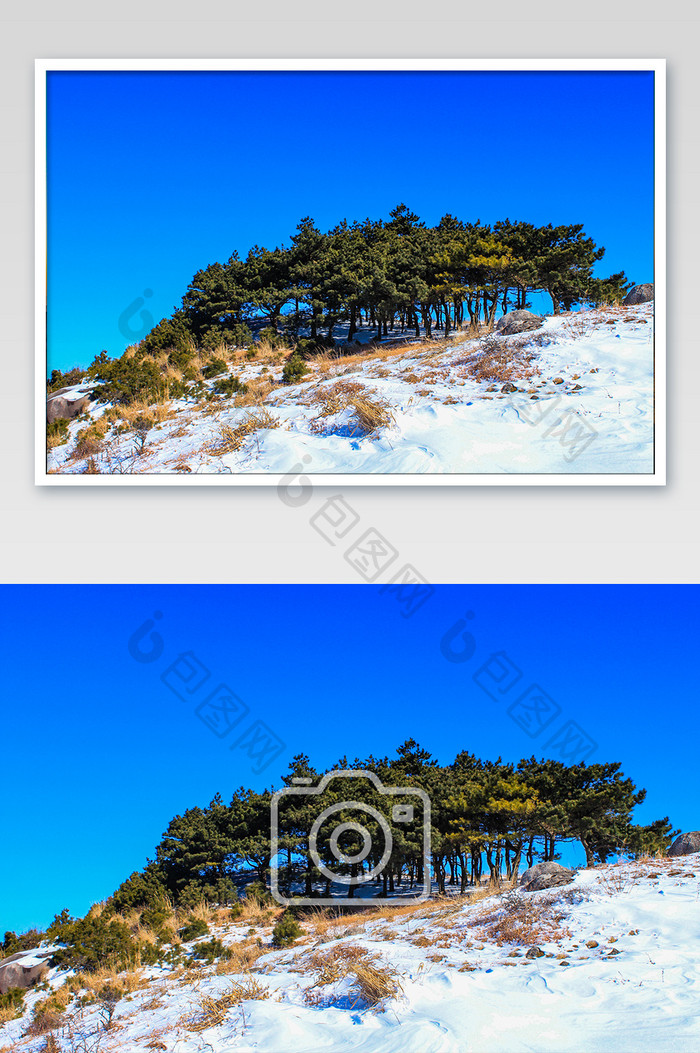 山顶雪景结冰松树摄影图