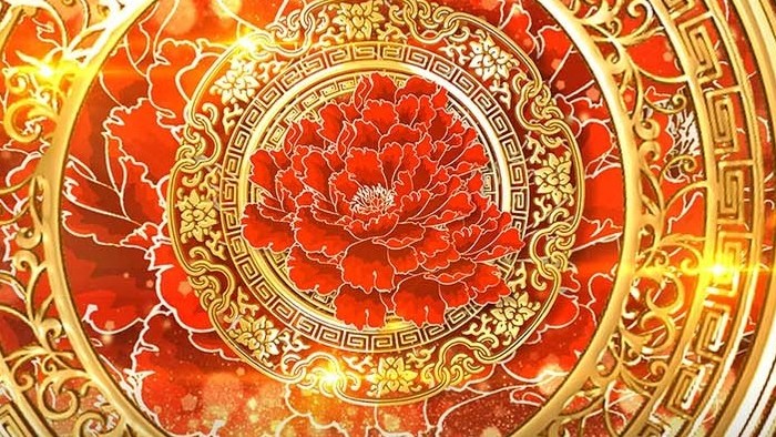 新年春节中国风牡丹花背景视频