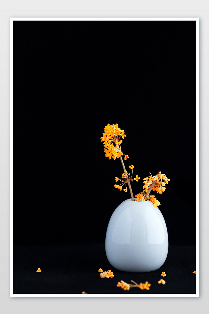 黑底图片-黑底素材免费下载-包图网