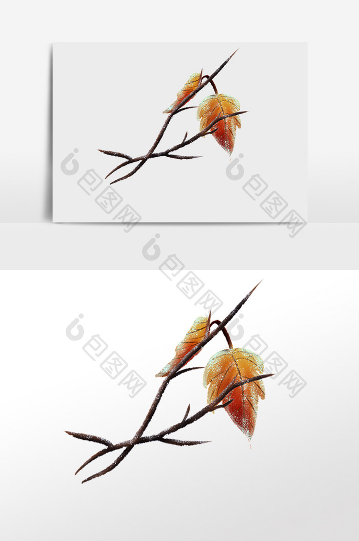 冬季落霜植物树枝树叶插画
