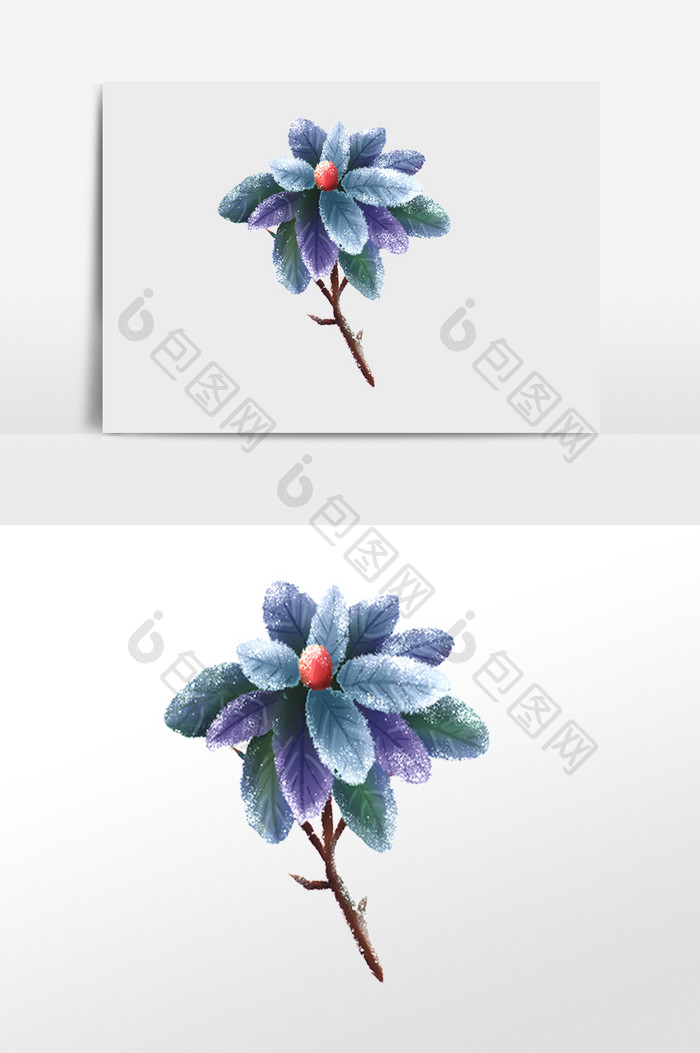冬季落霜植物插画