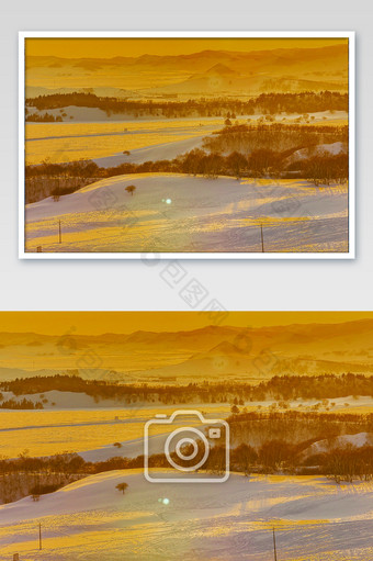 冬季的内蒙坝上金色雪景图片