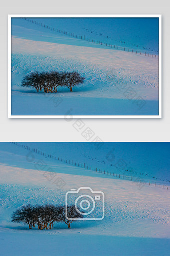 冬季的内蒙坝上雪景冷色调风景图图片