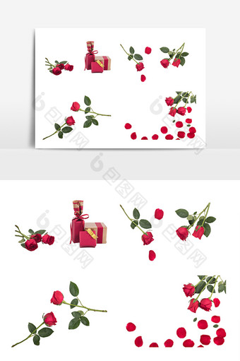 感恩节红色玫瑰花花枝图片
