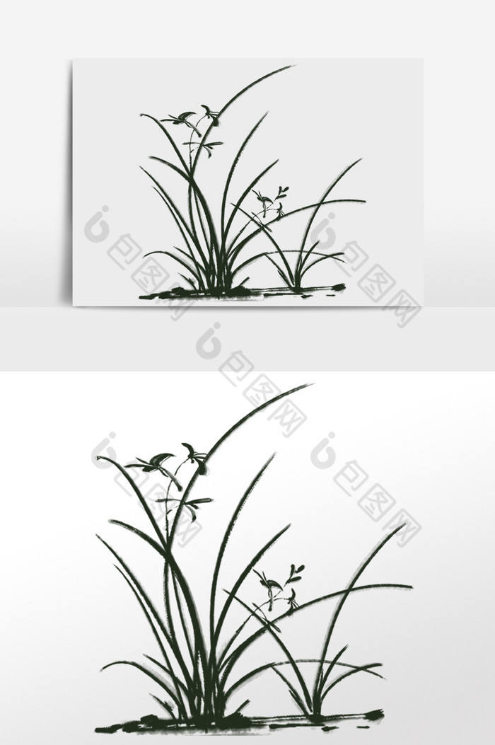 水墨兰花植物插画图片图片