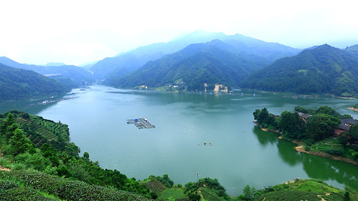 安化茶山风景山峰云雾