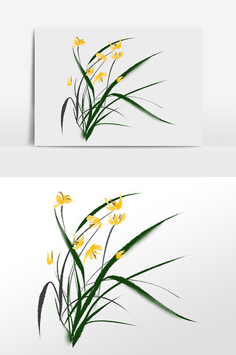 兰花插画图片