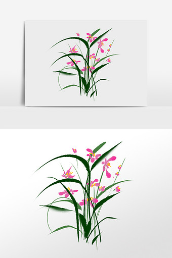 兰花插画图片