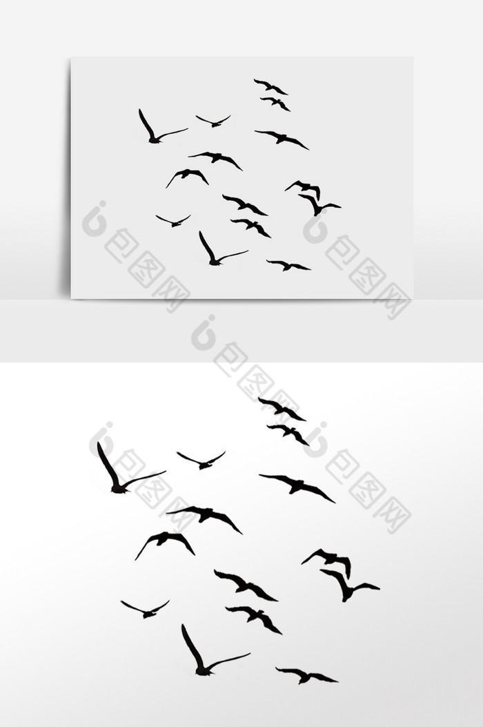 天空飞鸟展翅翱翔插画图片