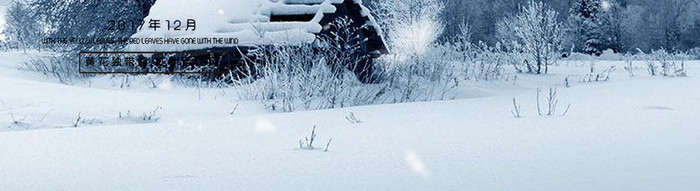 你好十二月清新雪花插画动态海报