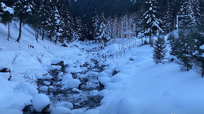 冬天新疆雪景庙尔沟森林景区实拍视频