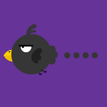 黑色乌鸦无语尴尬转场过场特效动图gif