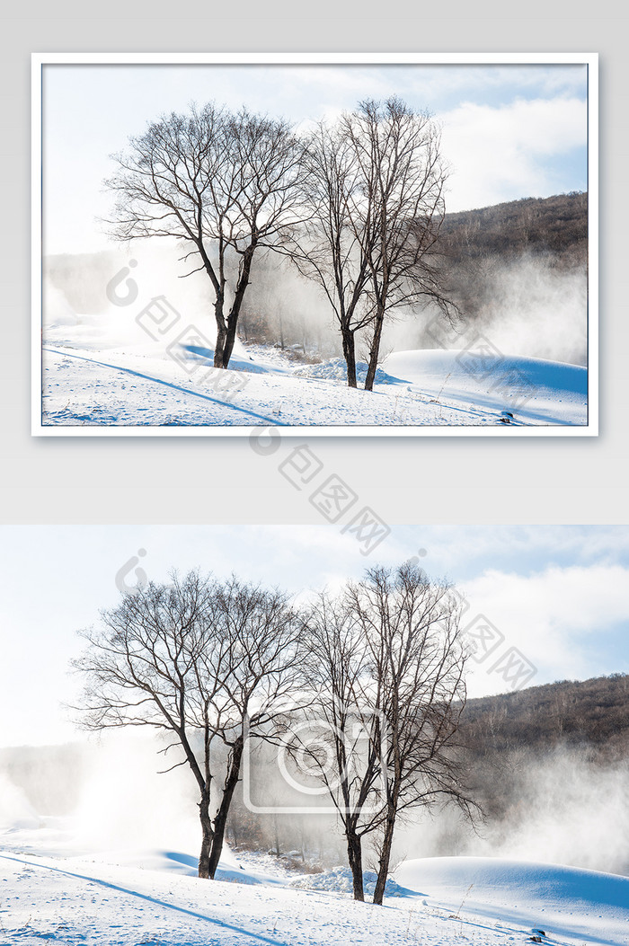 在雪地里面的大树雾凇树挂