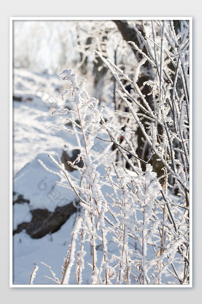 冬季冬天冰雪图片