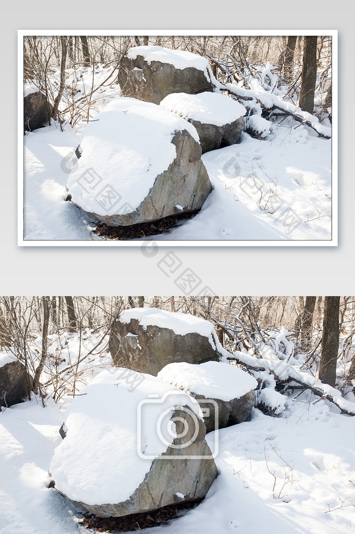 北方雪地上的石头图片图片