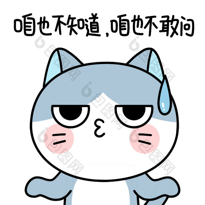 可爱猫咪表情包5不敢问动图GIF