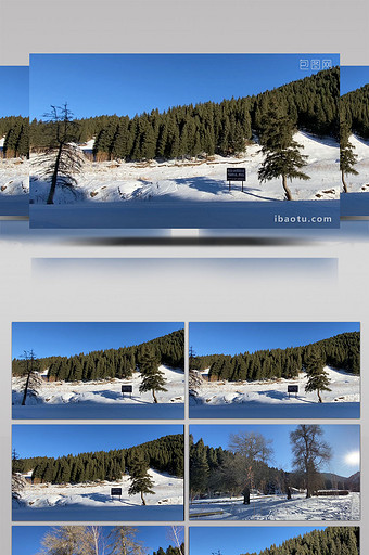 新疆南山冬天大自然森林雪景实拍视频图片