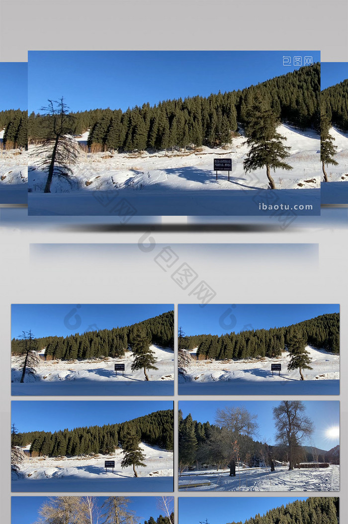 新疆南山冬天大自然森林雪景实拍视频