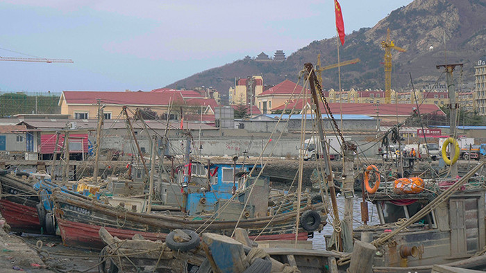 海边城市码头渔民渔船视频素材