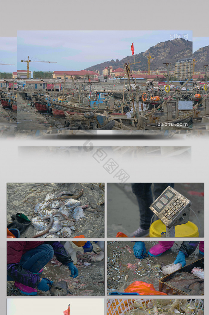 海边城市渔民捕鱼渔业视频素材