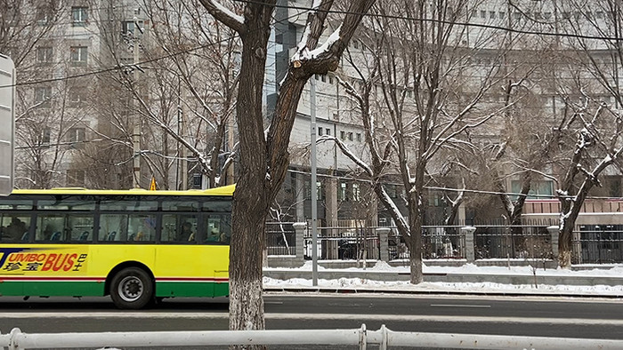 新疆冬天下雪街头马路车流实拍视频