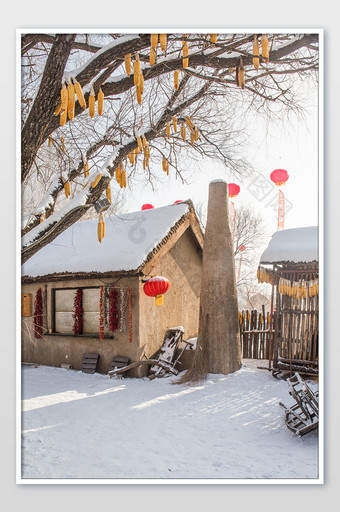 竖版拍摄乡村雪屋丰收玉米挂在树上红灯笼图片