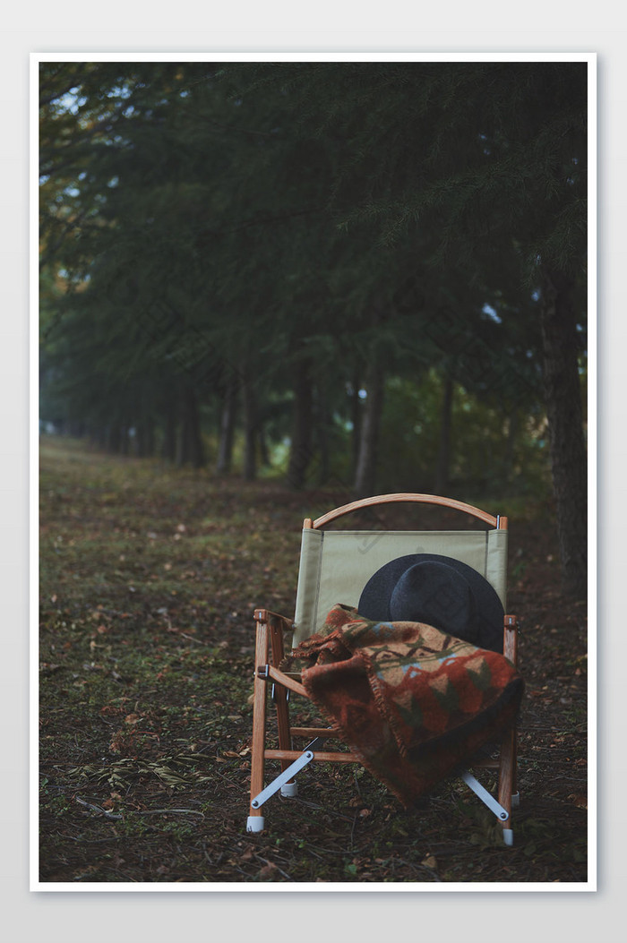 绿色森林户外座椅摄影图片图片