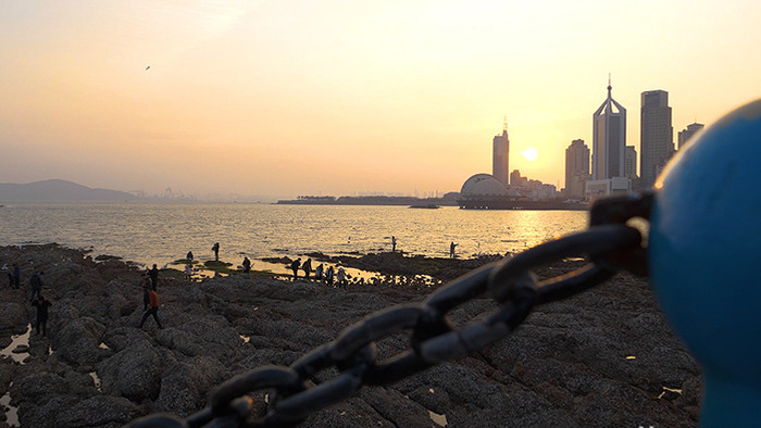 实拍海边城市海鸥大海视频素材