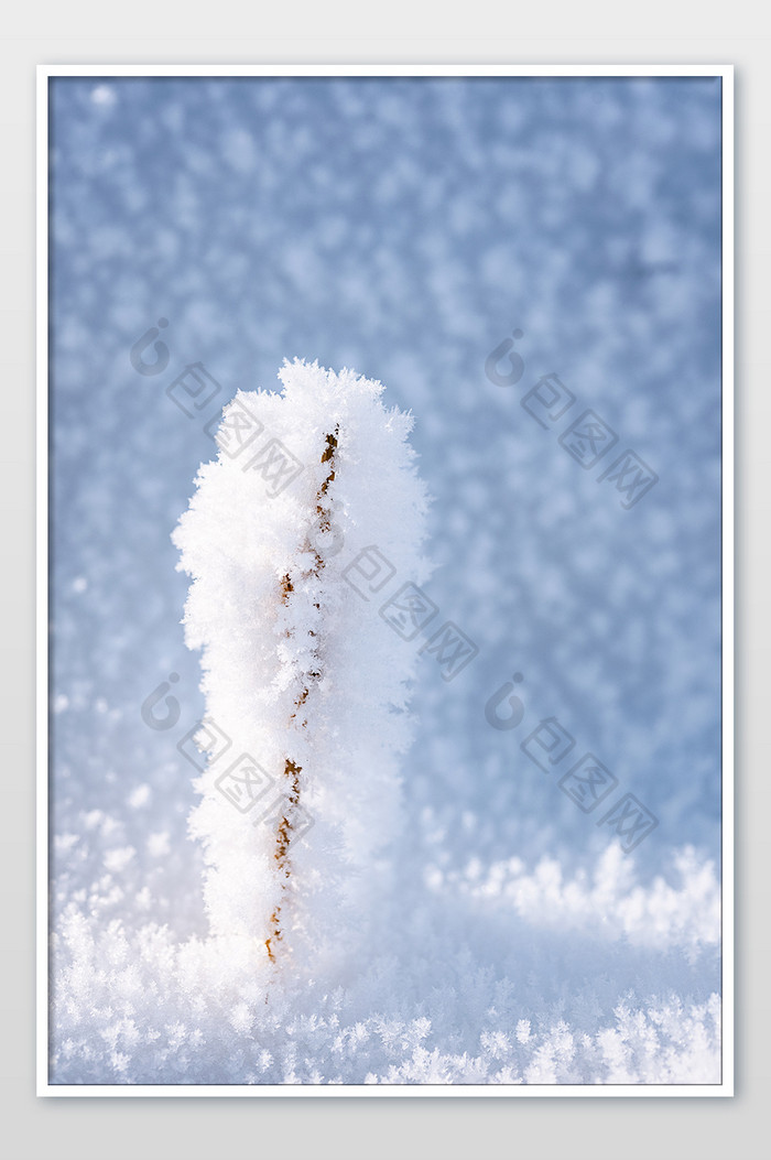 冬季大雪雪花场景美丽光影